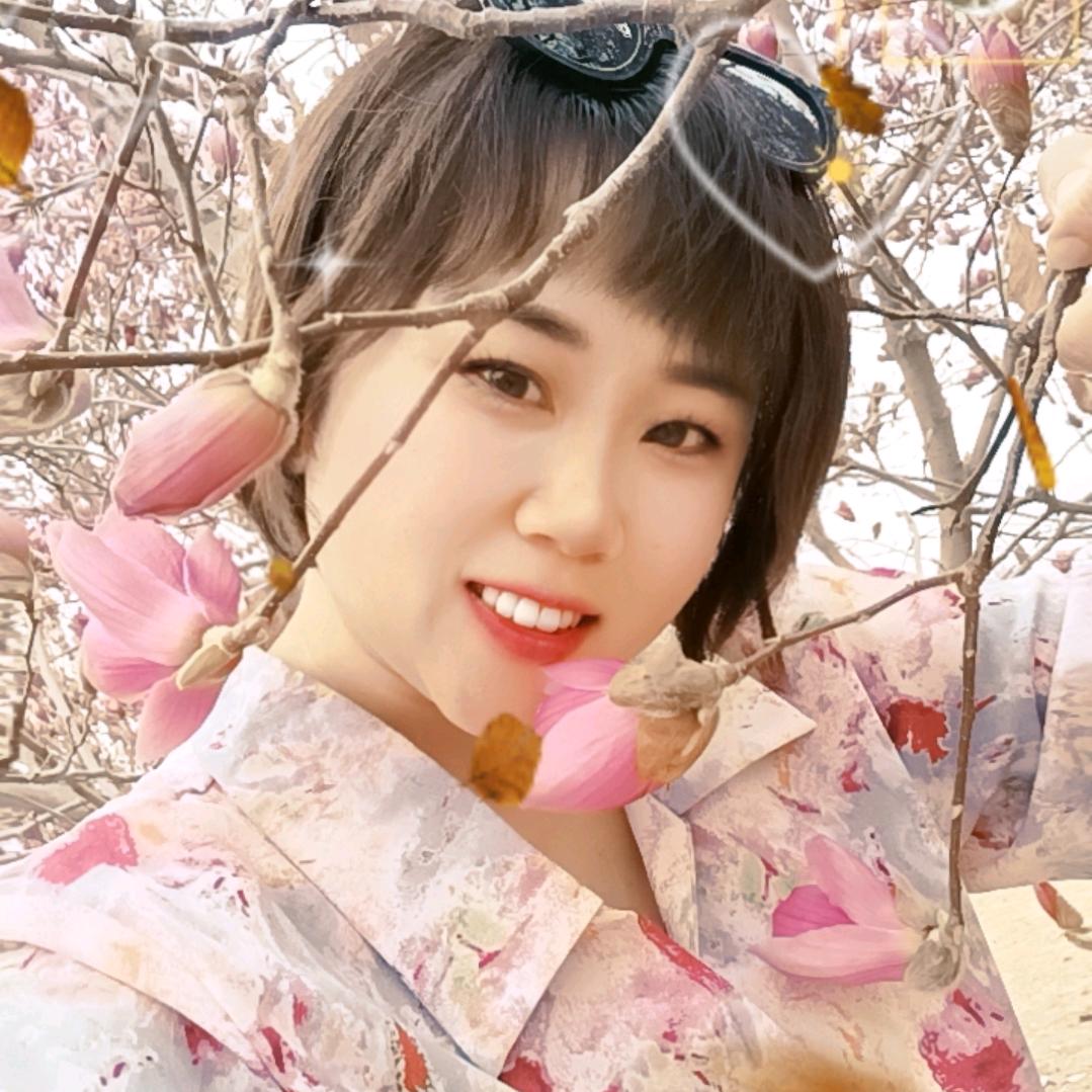 大凤凤