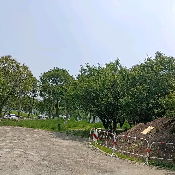 小凤