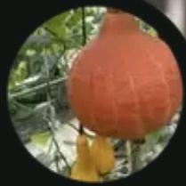 持之以恒（1）