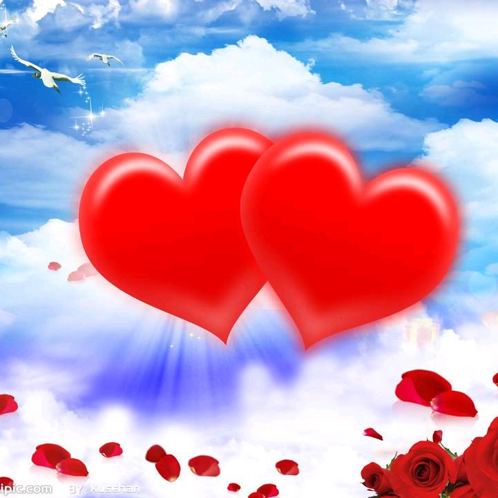 🐟鱼在飞舞🐠