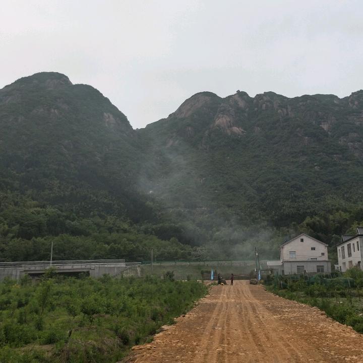 朱备东哥
