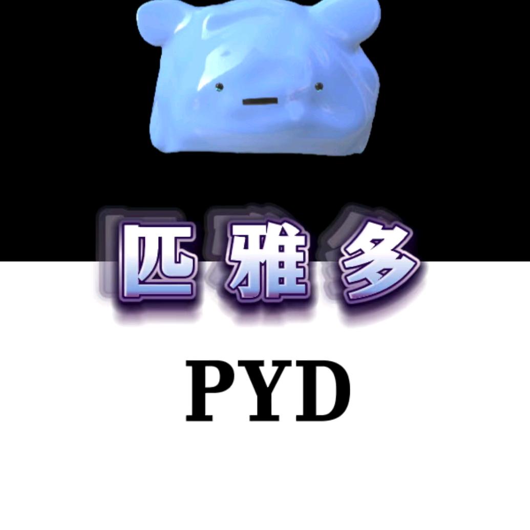 匹雅多壹号服饰店
