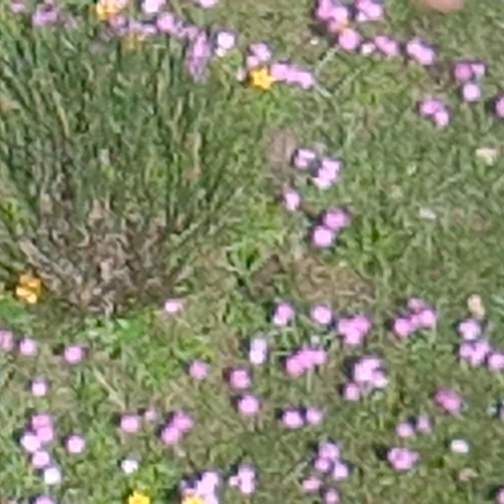 用户5914428562900