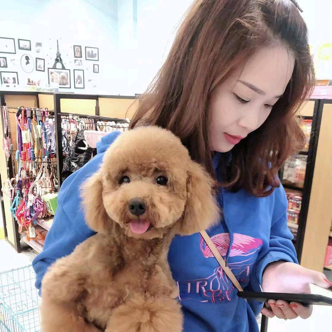 宁缺毋滥