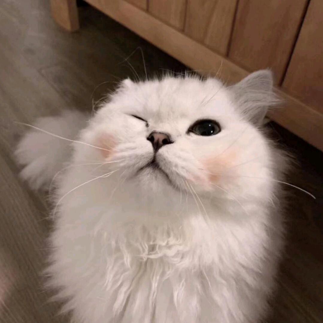 是个少女鸭