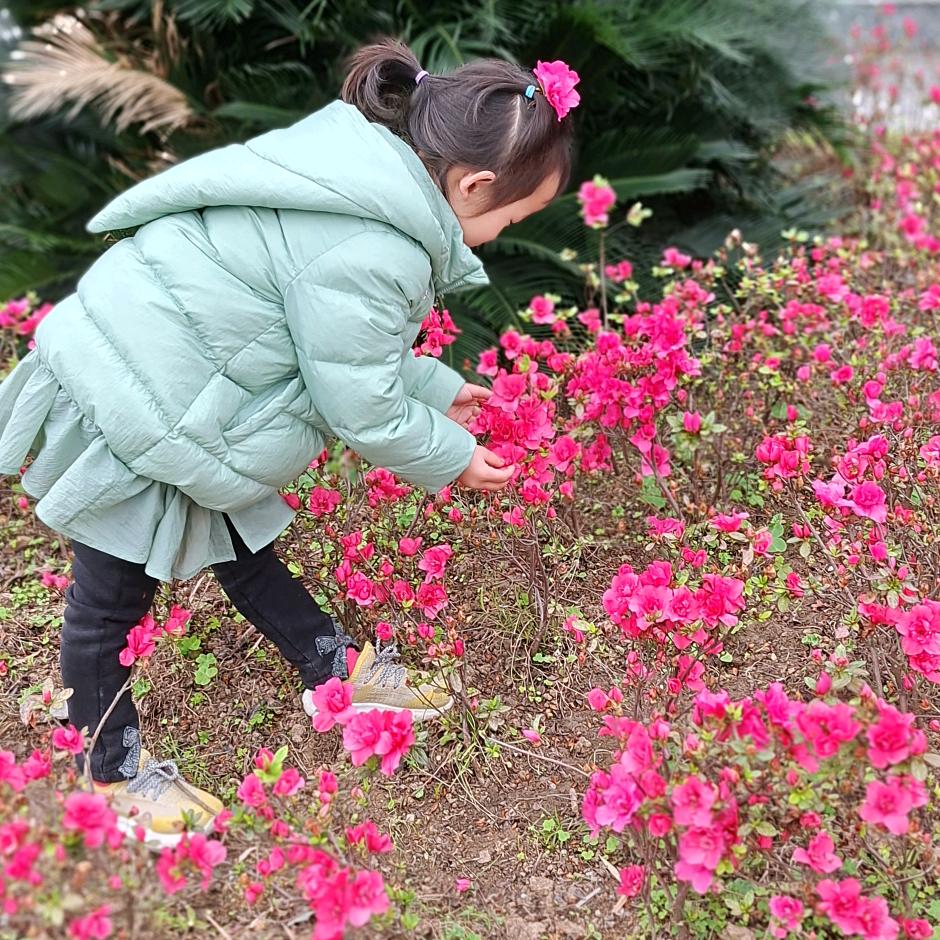 阳光温暖👯