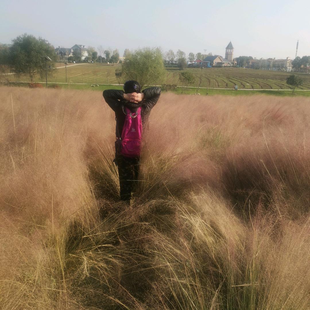 梅记全牛宴官方号