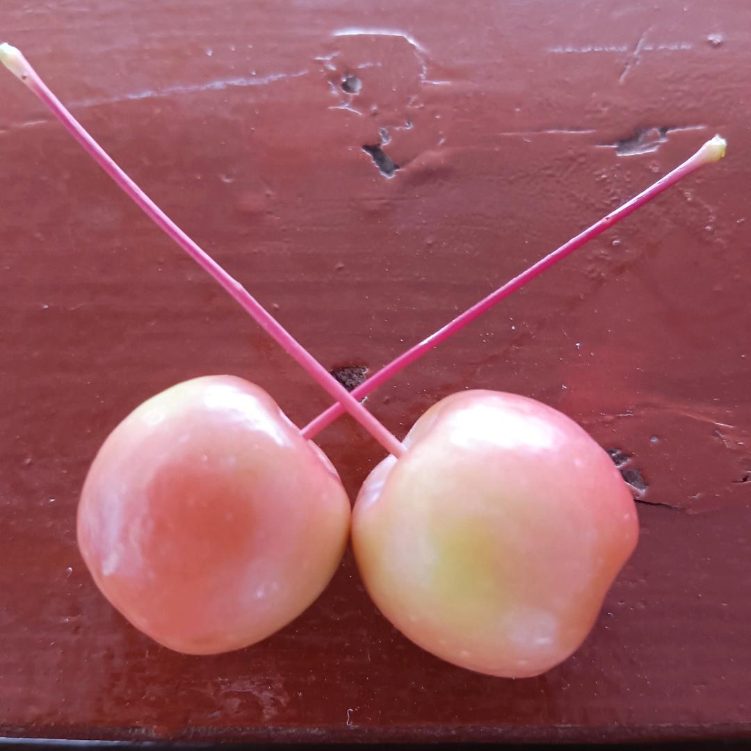 时光凉人心