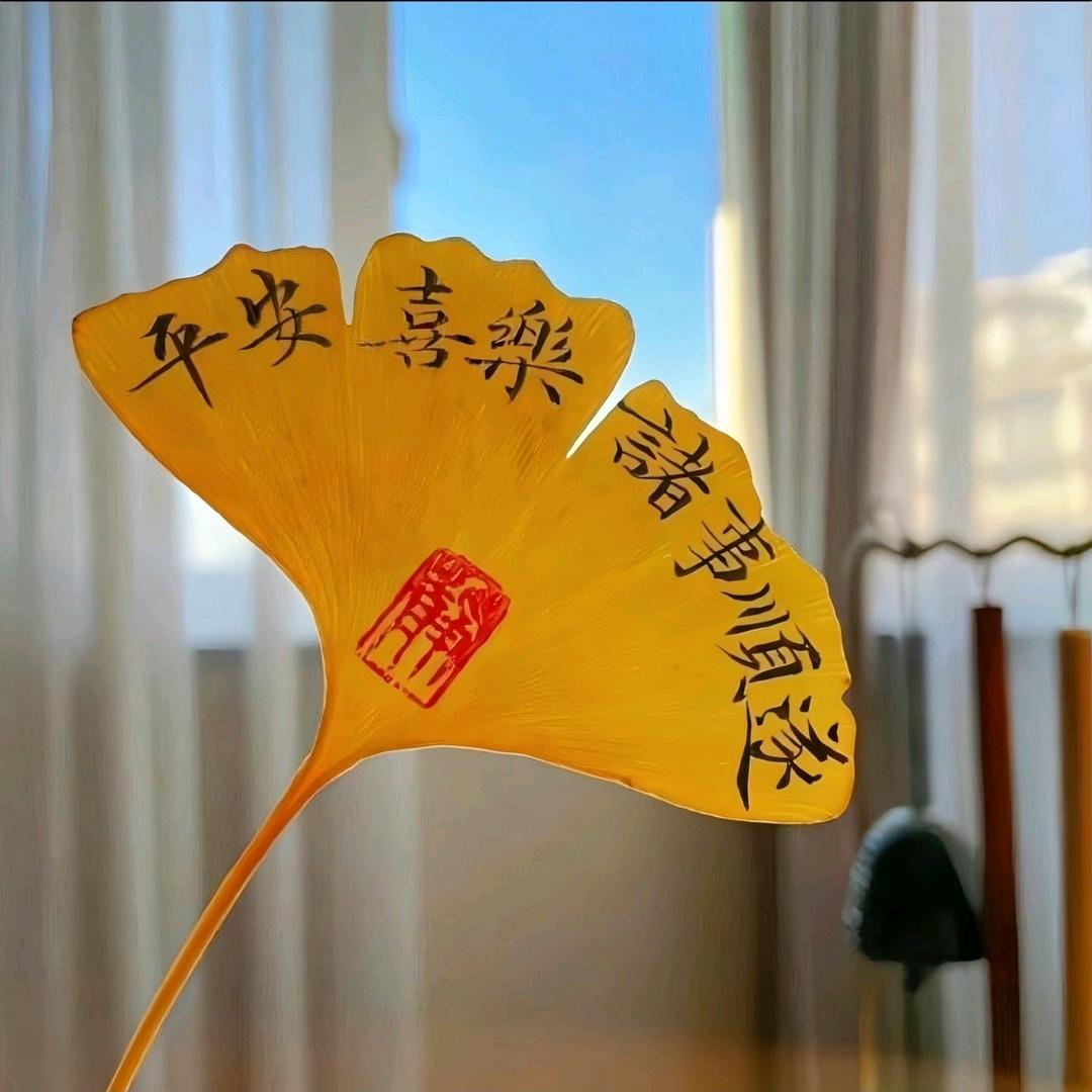 我是万能娇