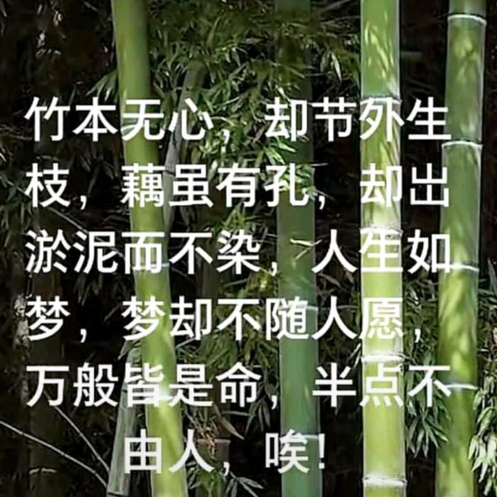 小人物