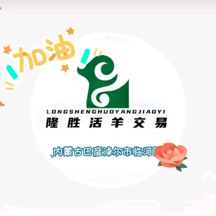 临河王海平羊皮育肥羊购销