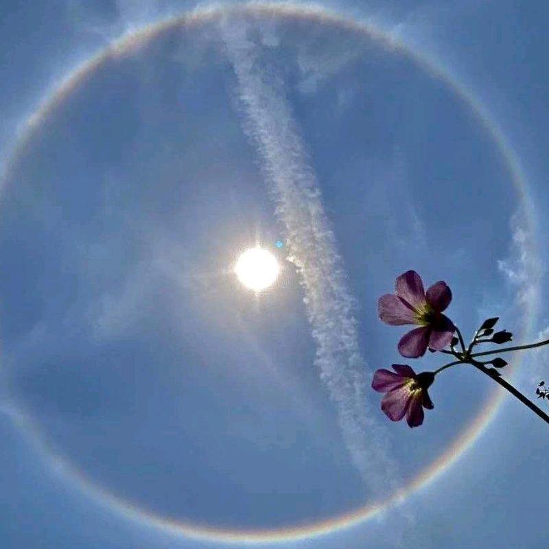 爱如指尖沙
