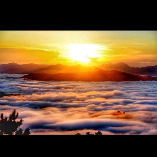 总有一天有阳光