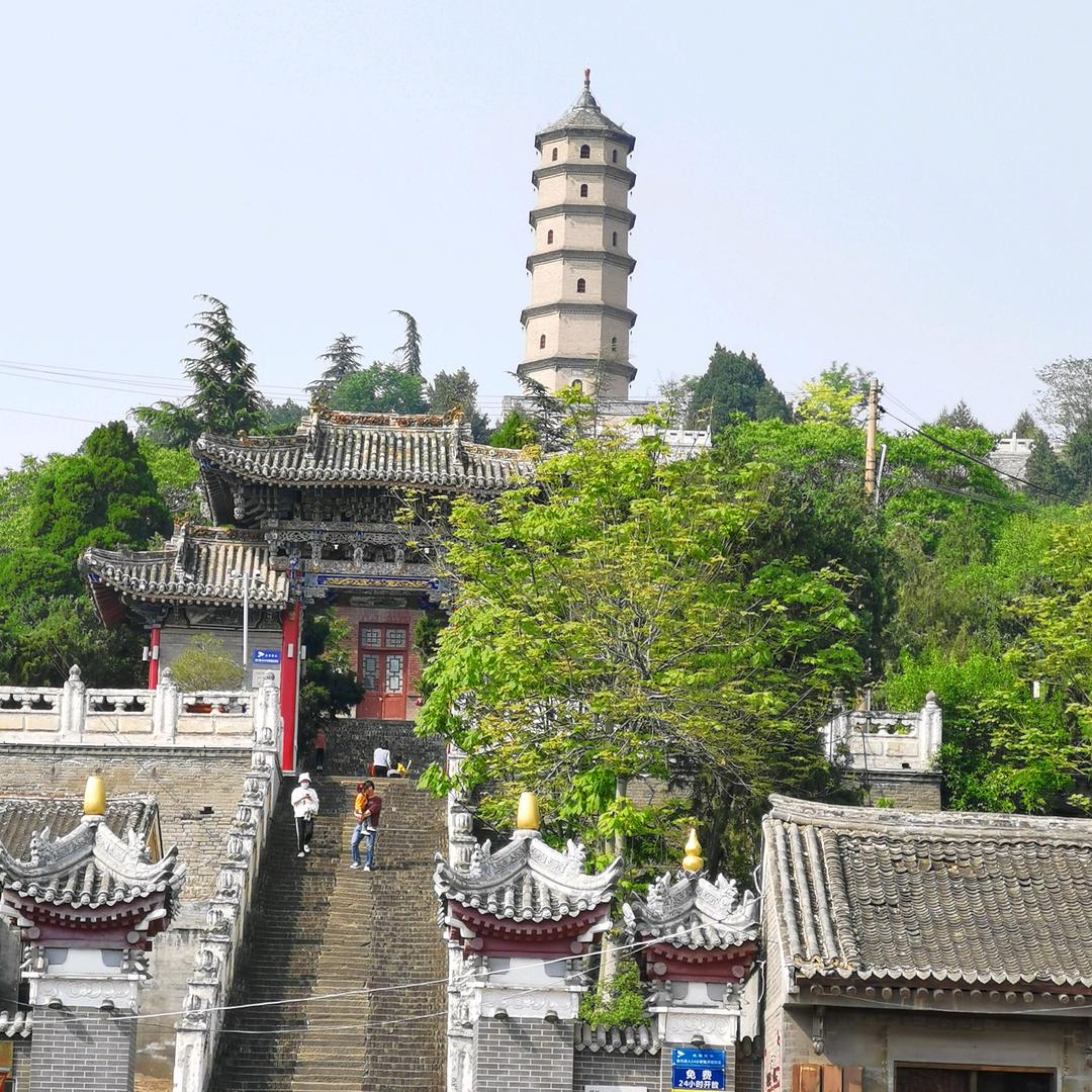 澽水河畔七叔（强粉）团队