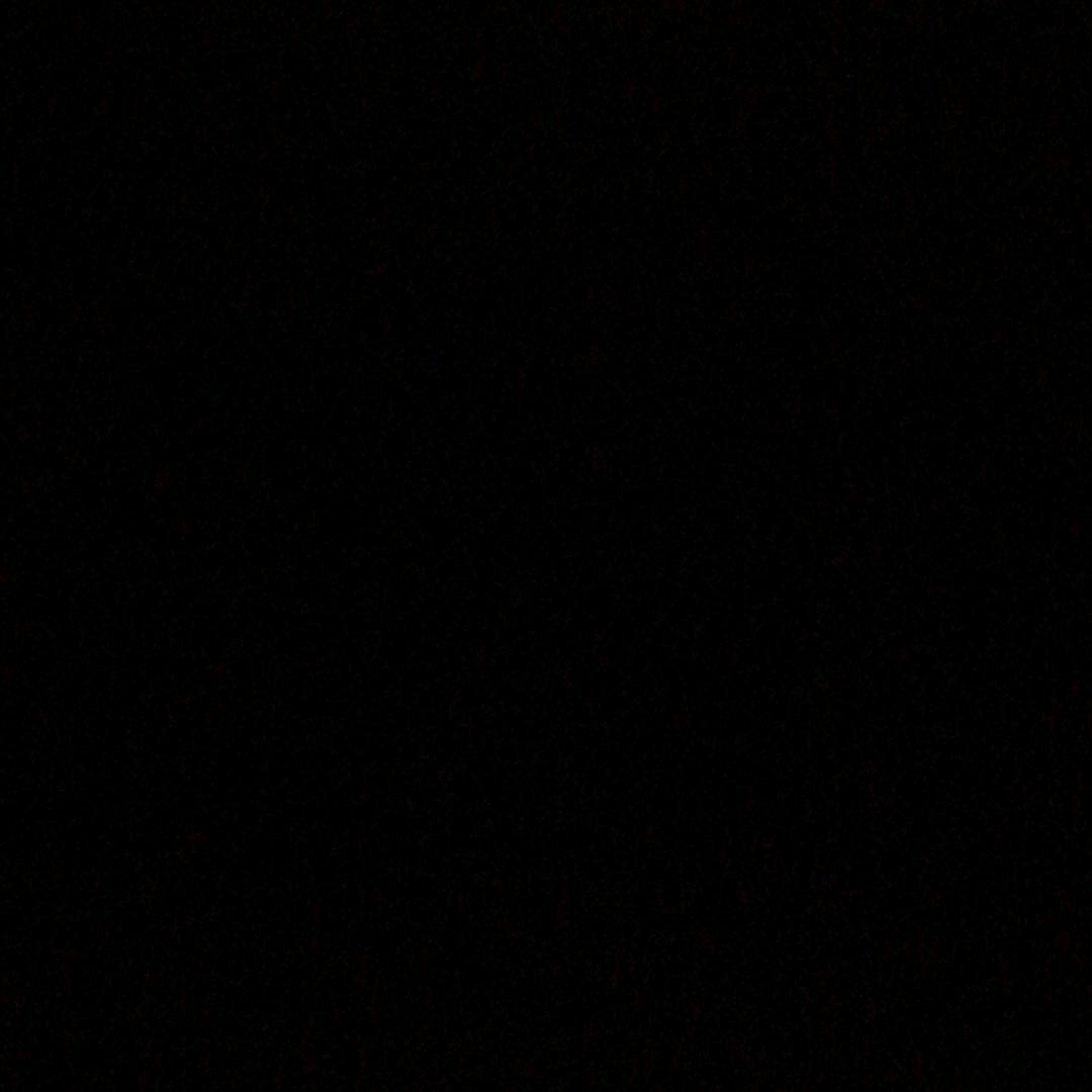 她就像古高昌国人那样固执