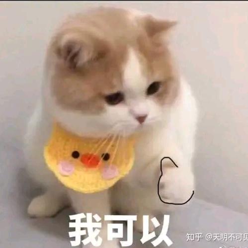 刘怀谦