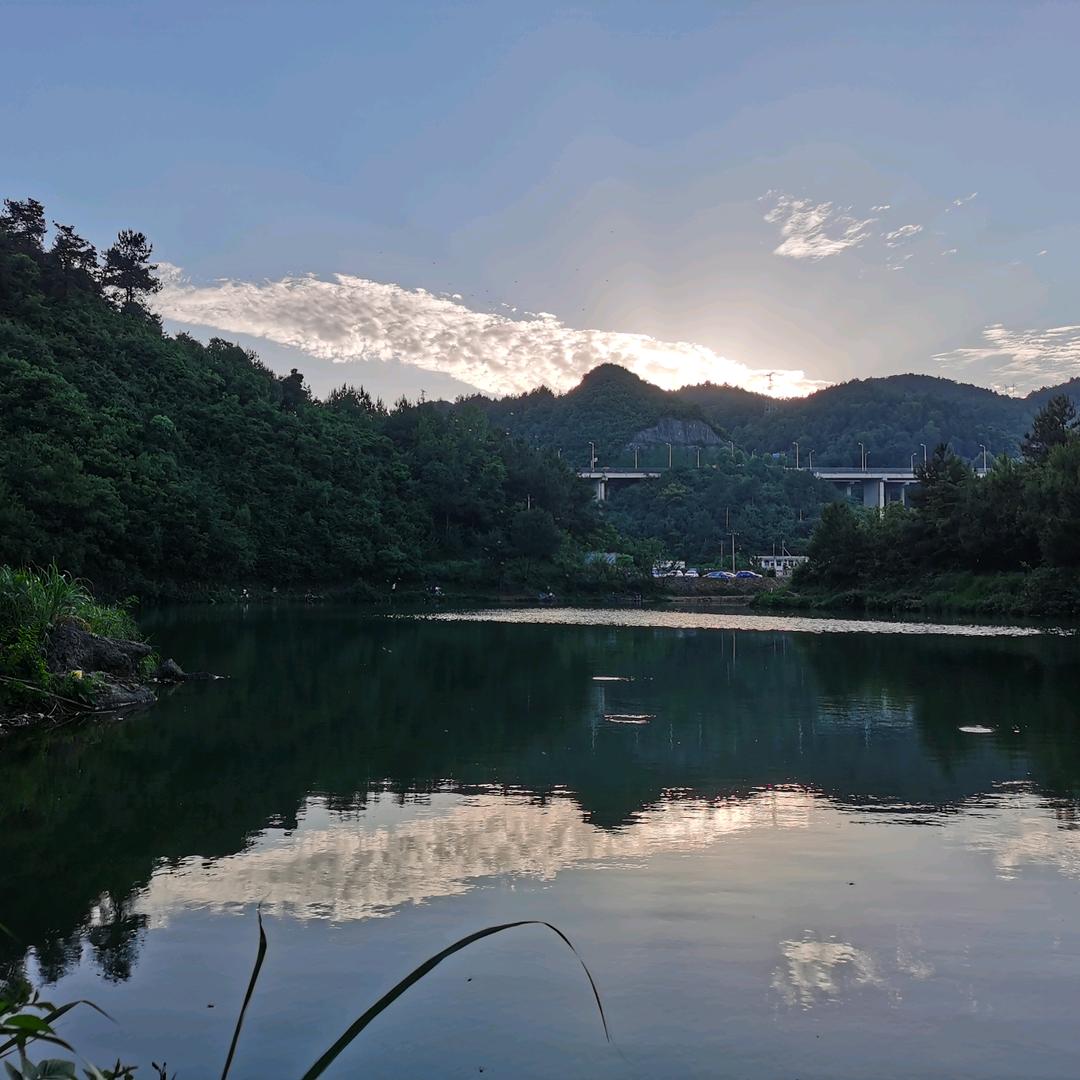 杨柳冲水库休闲垂钓中心