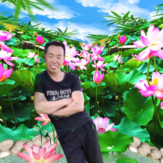 流浪到天涯张