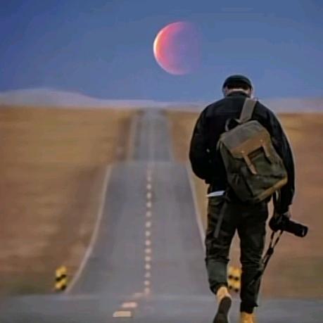 老莫我想吃鱼了