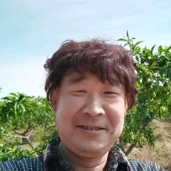 何半仙