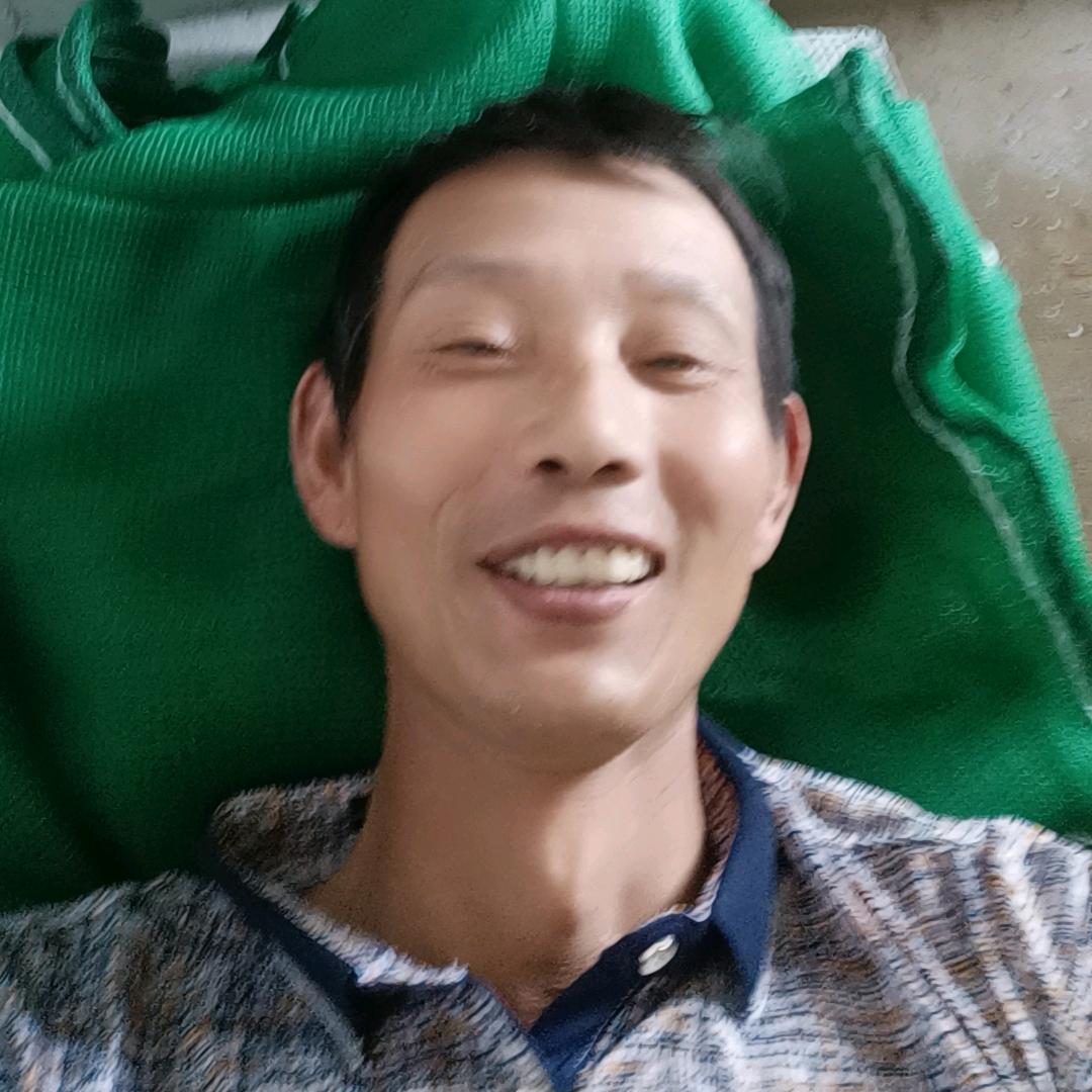 金牌装饰429