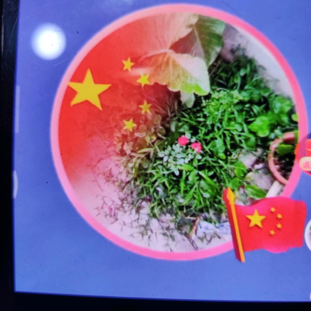 正正之旗