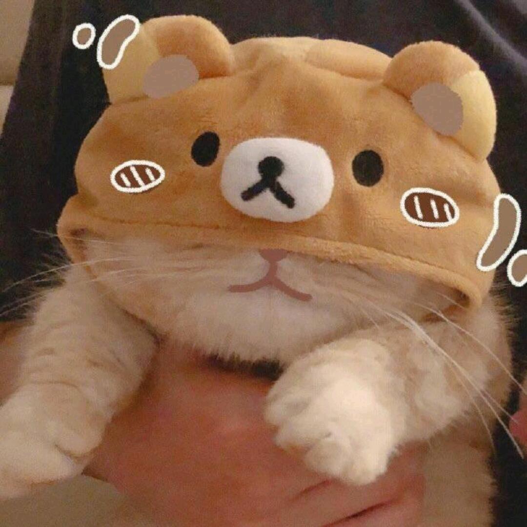 四月ovo