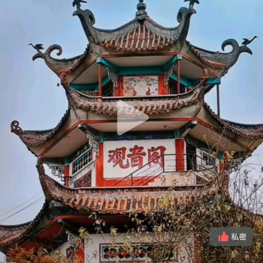 爱看小说的，书虫