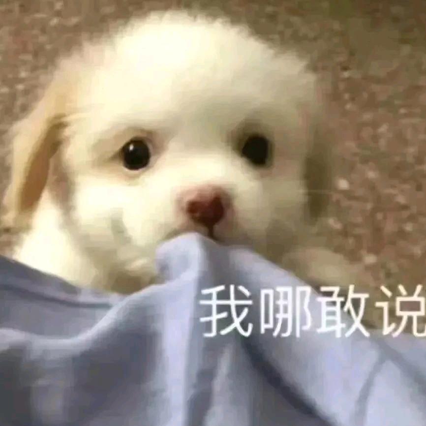 陈志霖是个代号@