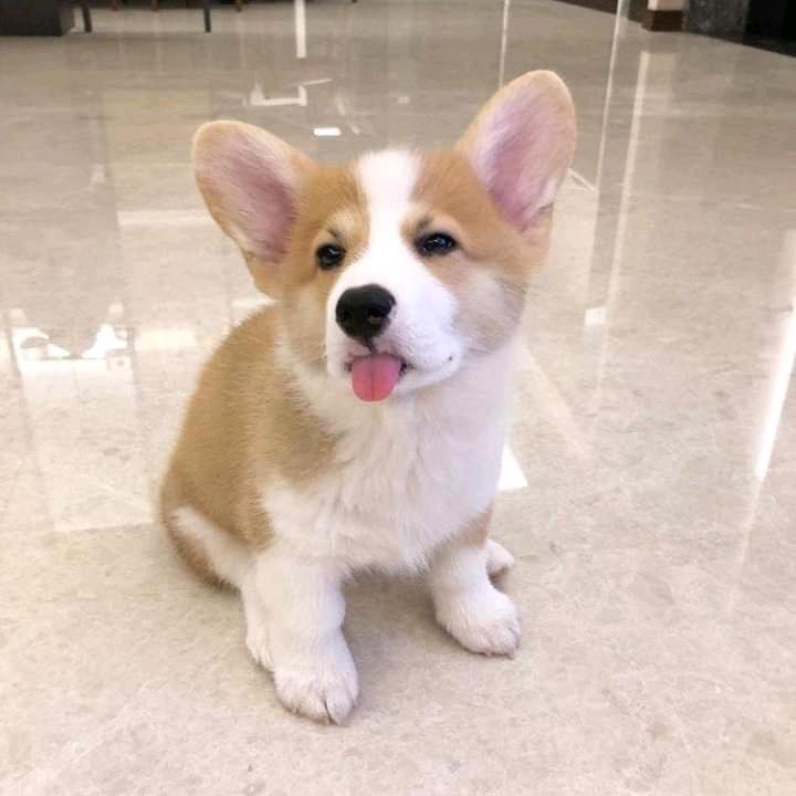 吃了个大西瓜