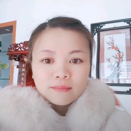 太阳花