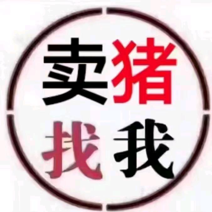 牲猪搬运张家勇