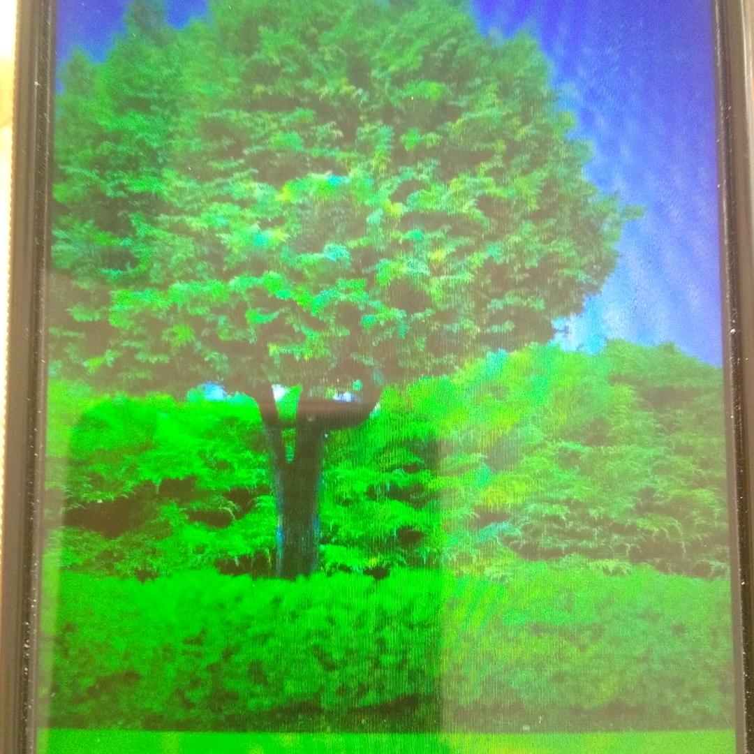 用户1912114998040