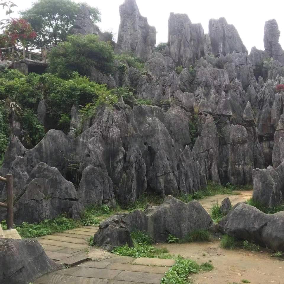 未来的幸福