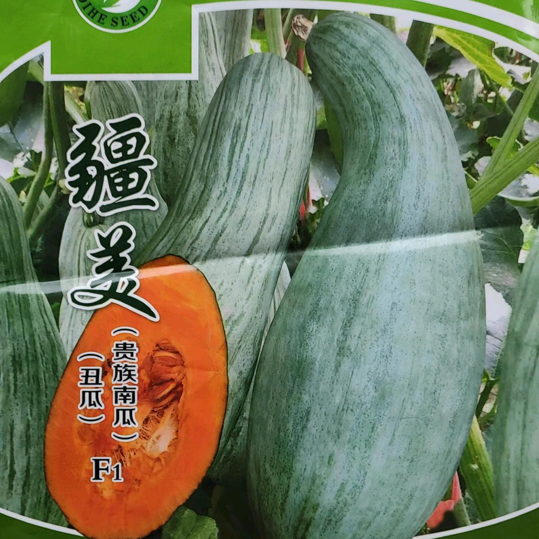 搞钱