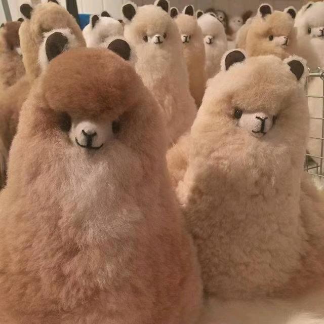 逗比的想象你无法想象（见过井柏然版）