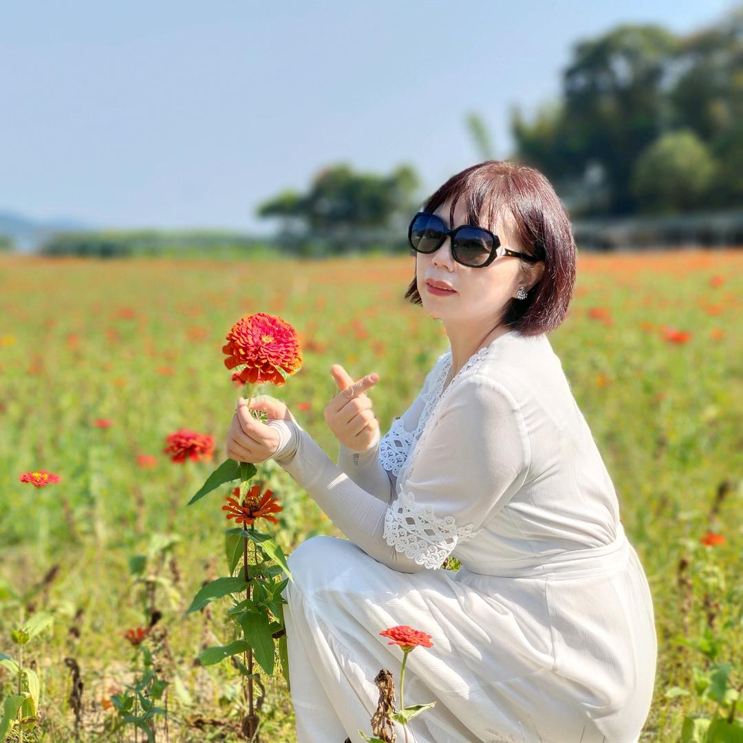 花儿爱阳光