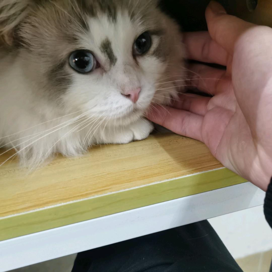 不控制饮食健身就是做梦