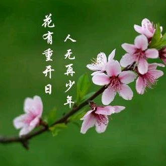花有重开日，人无再少年。