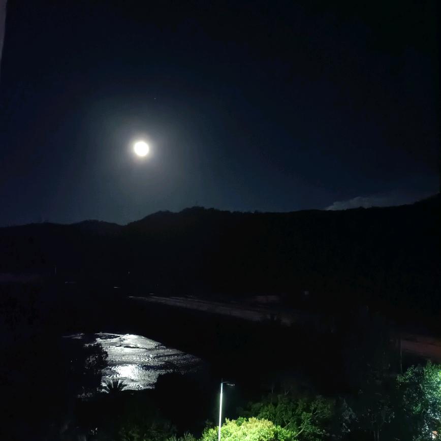 月下无痕