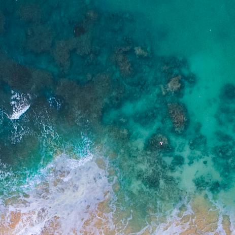 爺單身1`卻潇灑