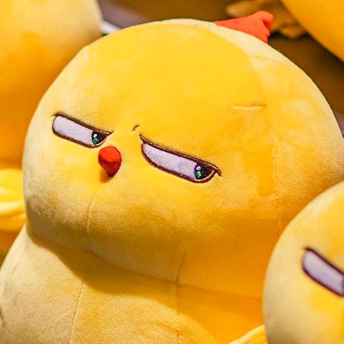 ZhuWuO周