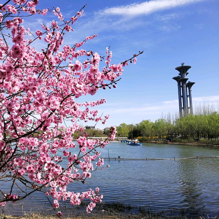 北京老板圈