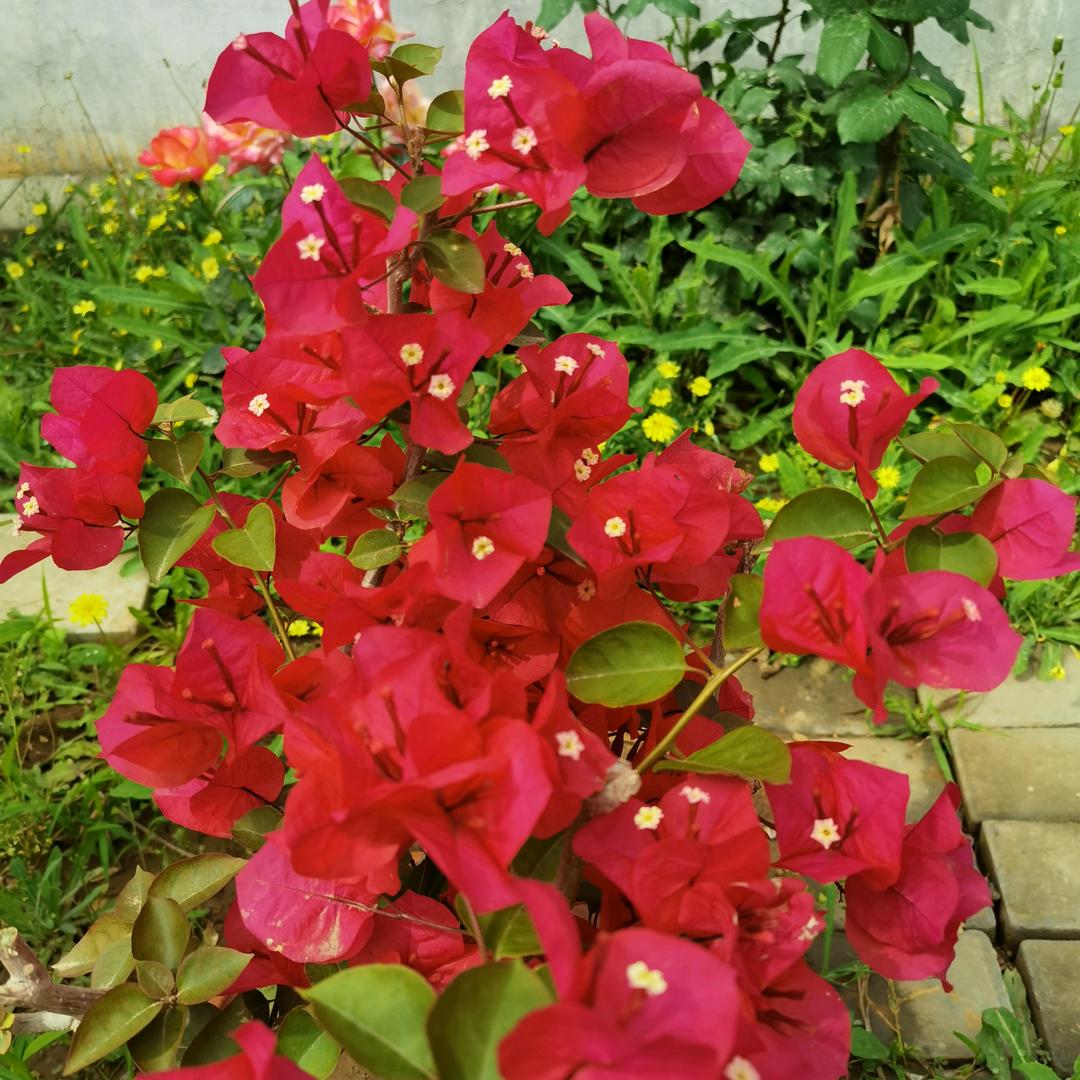 平安温馨