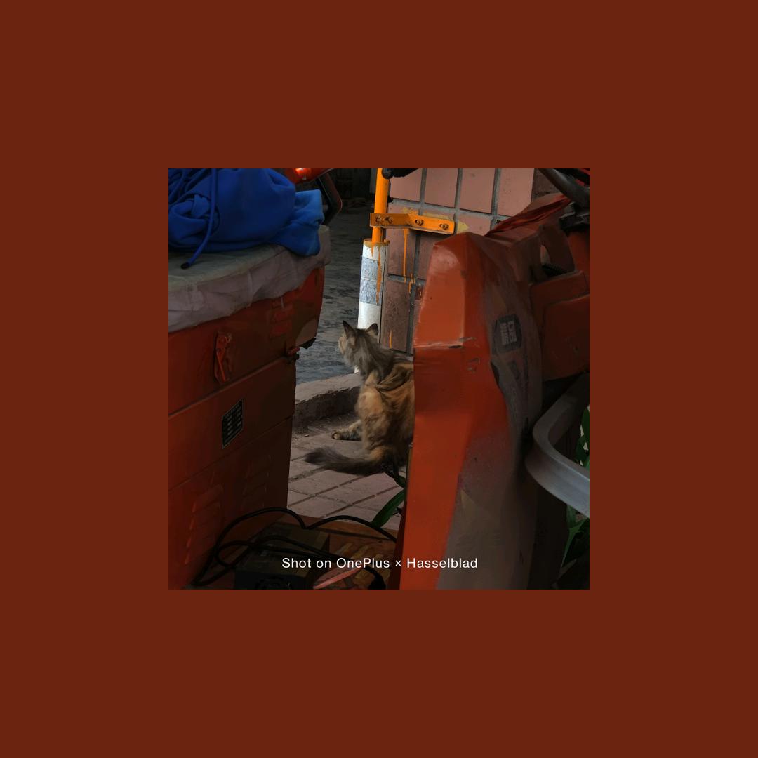 哥斯拉打不过赛亚人