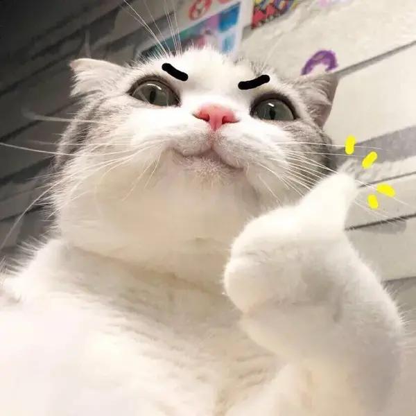 吃才要紧╭(╯ε╰)╮