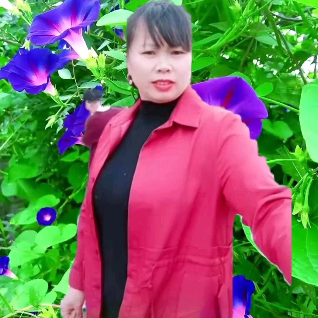 生活有太多无奈