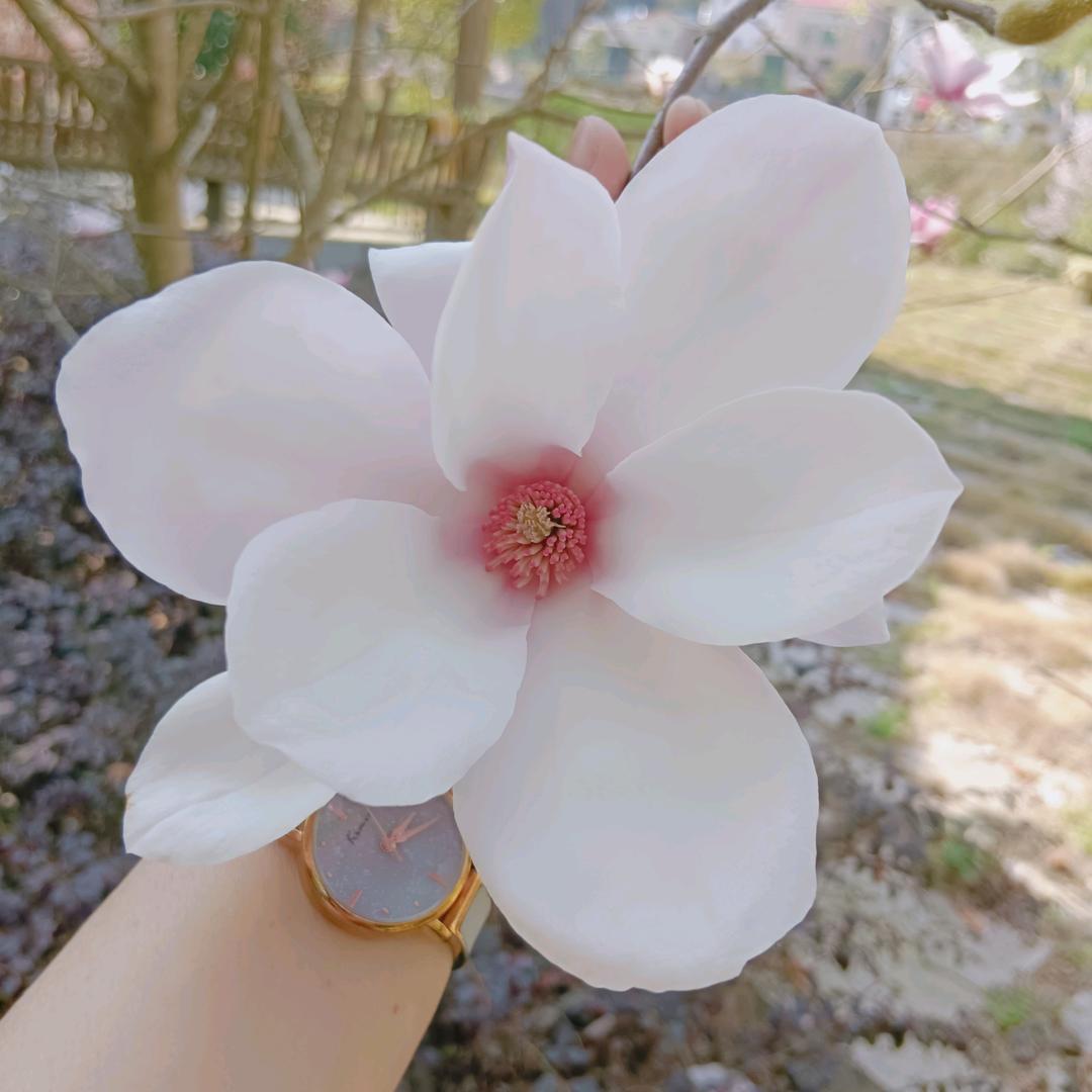 平安是福🌹