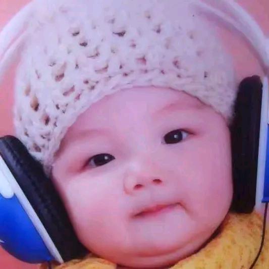 小飞龙