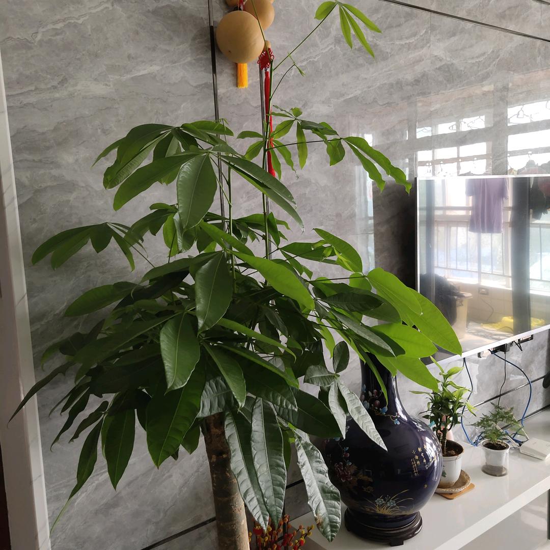 相聚